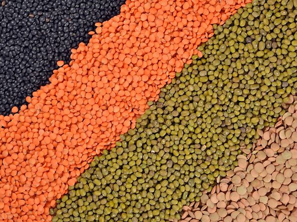 Industrial Mixing & Blending Systems for the Feed Industry