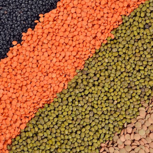 Industrial Mixing & Blending Systems for the Feed Industry